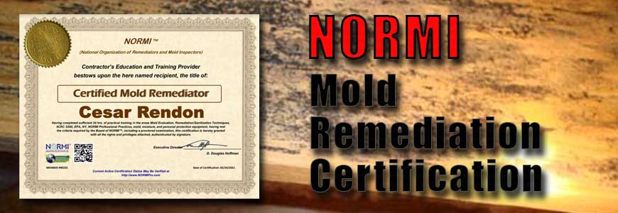 Greenserve whole house NORMI certification for  mold remediation