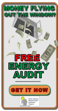 Free-energy-audit-save-money