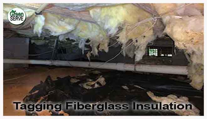 tagging, falling crawl space fiberglass insulation